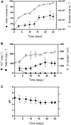 Establishing a green biodesulfurization process for iron ore concentrates in stirred tank and leaching column bioreactors using Acidithiobacillus thiooxidans